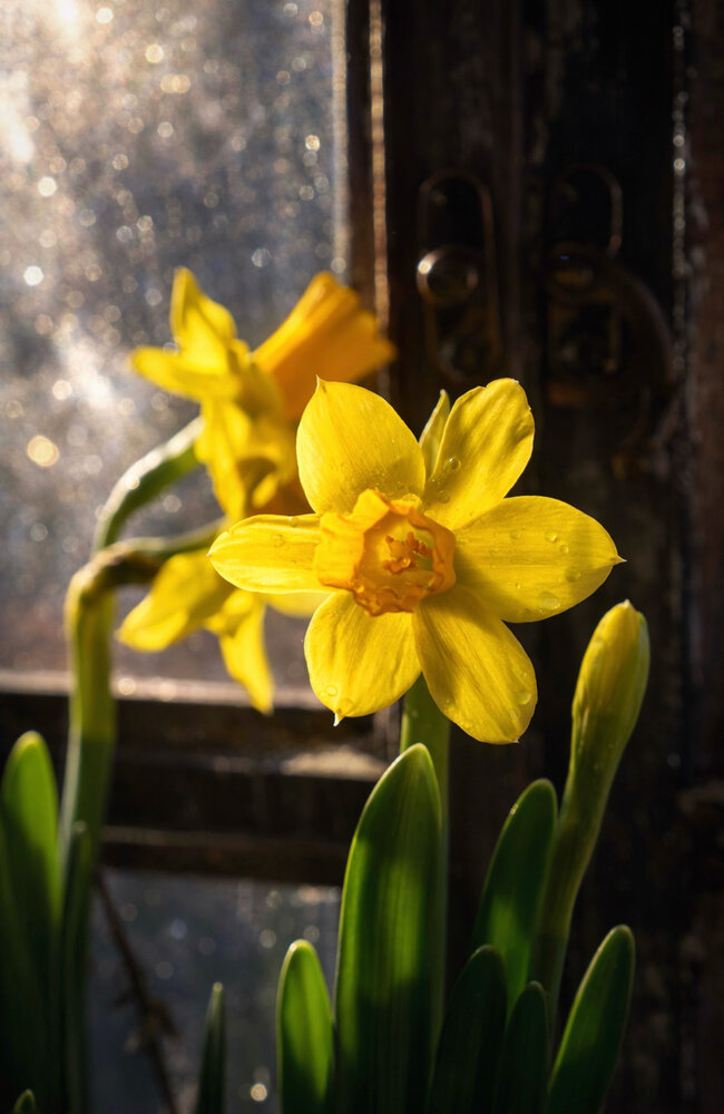 Photograph by Olga Schmidt