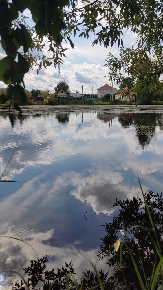 Photograph by Елена Прокофьева