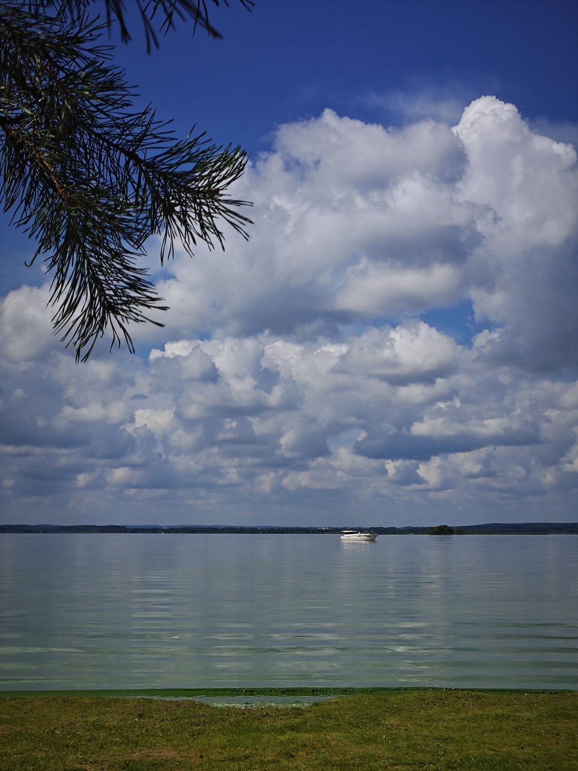 Photo #13848300