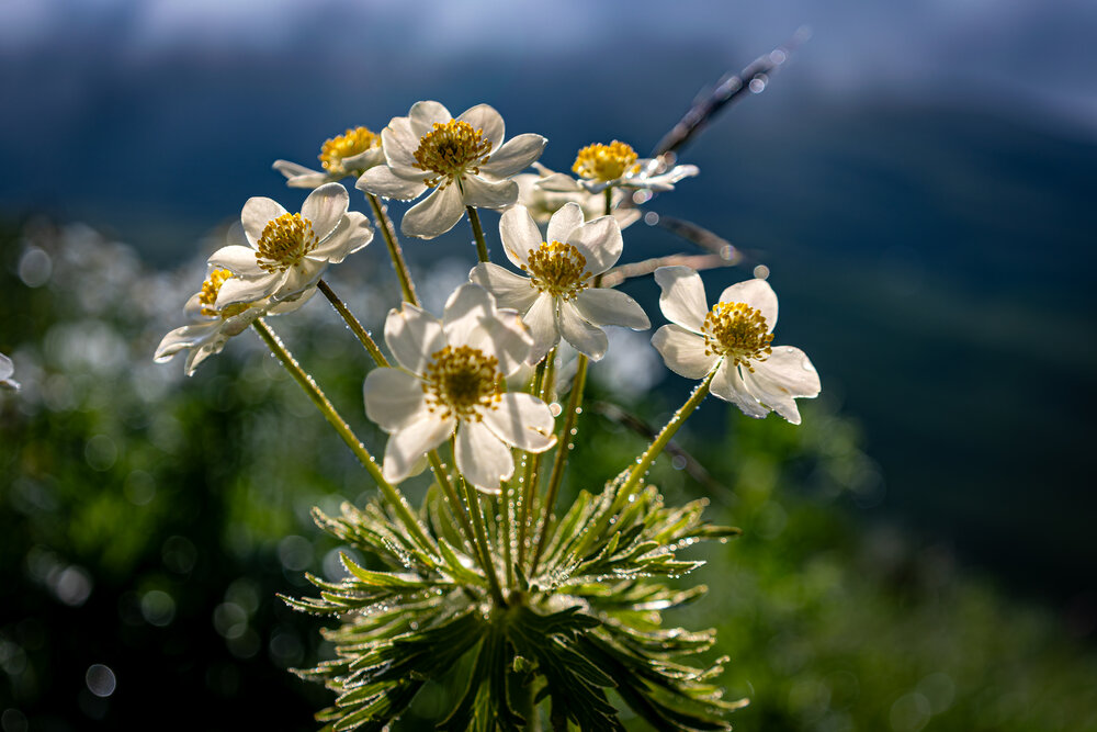 Photograph by Igor Maksimenko