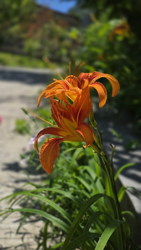 Photograph by Елена Федоткина