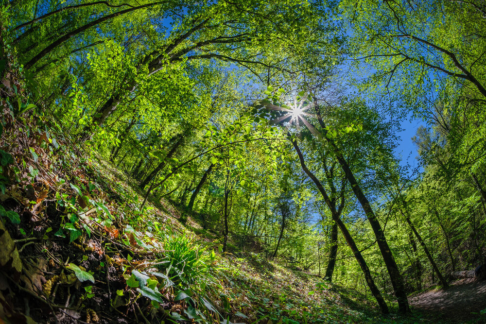 Photograph by Владимир Сковородников