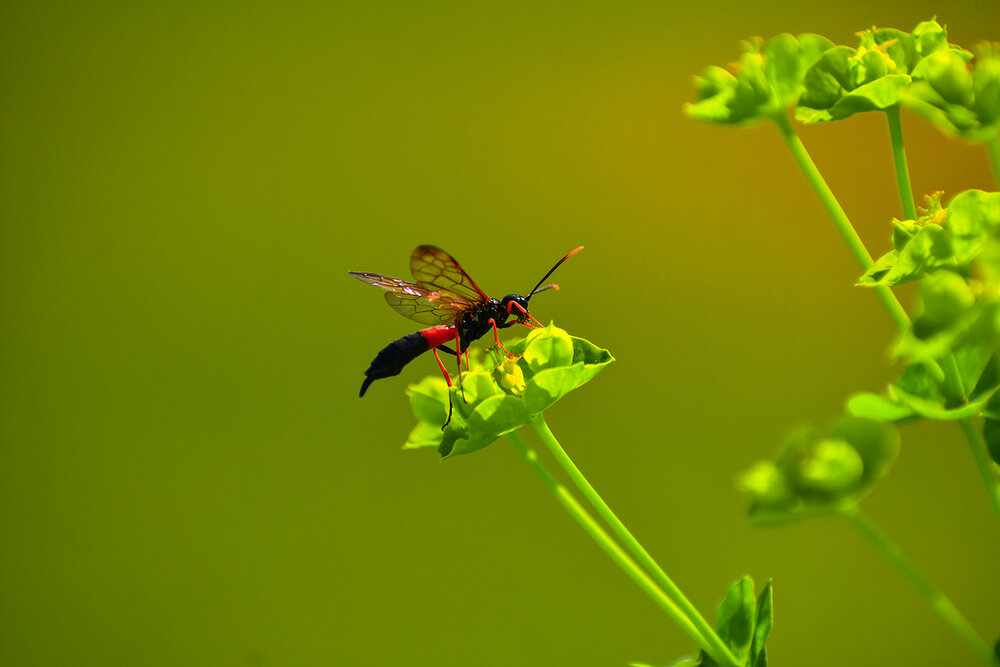 Photograph by mohsen biazar