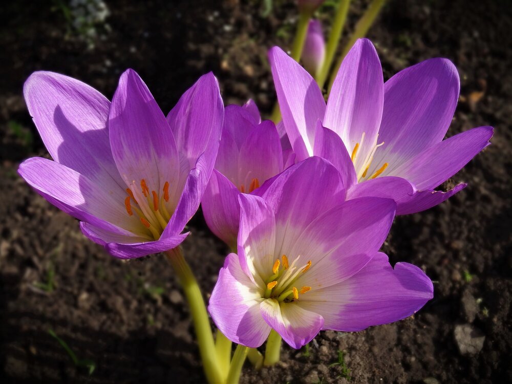 Photograph by Марина Раткун