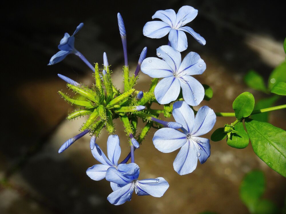 Photograph by Марина Раткун