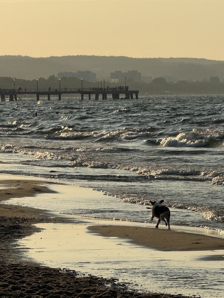 Photograph by Александр Петронюк