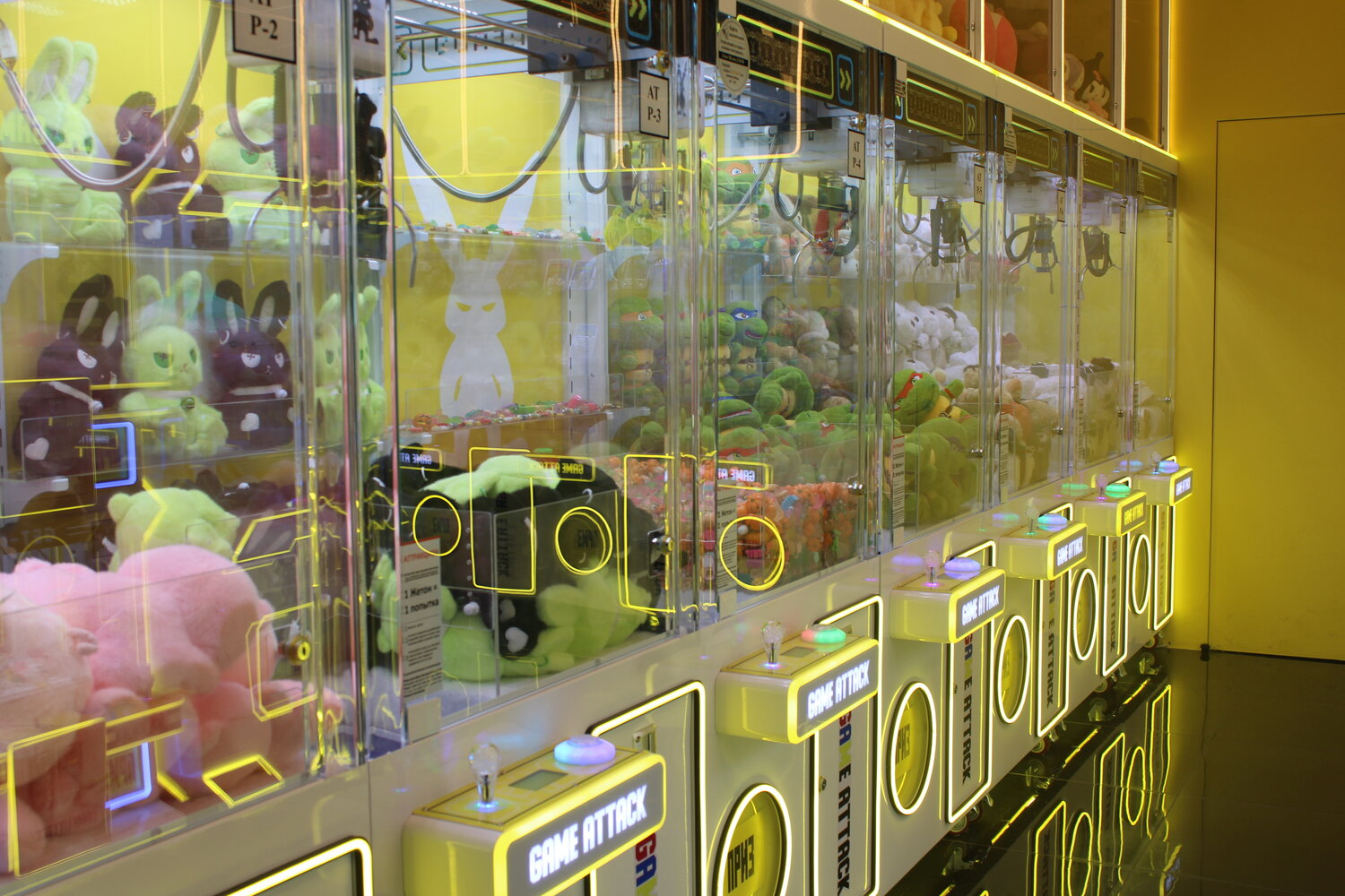 Photo #13848446