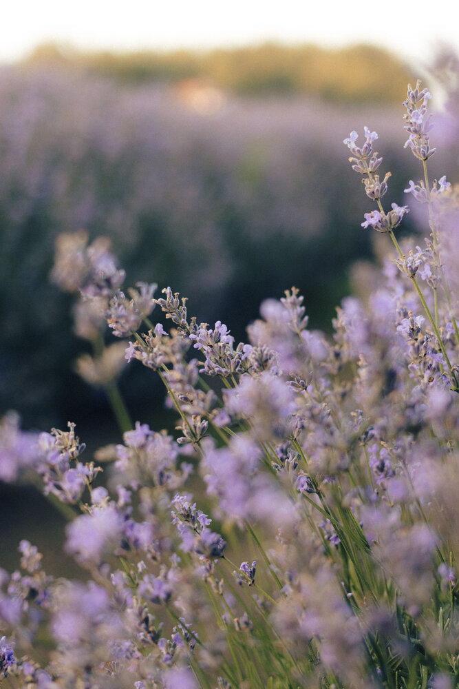 Photograph by Дарья Скутина