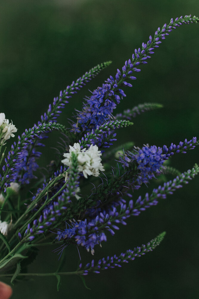 Photograph by Дарья Скутина