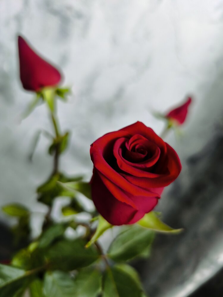 Photograph by Александр Малютин