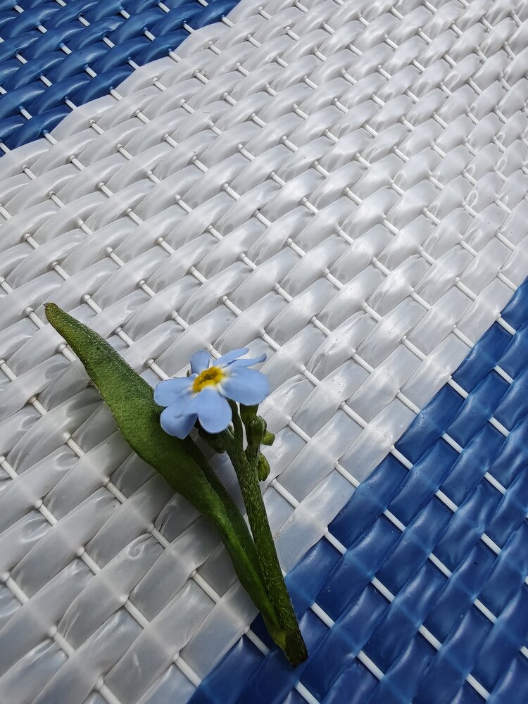 Photograph by Александр Малютин
