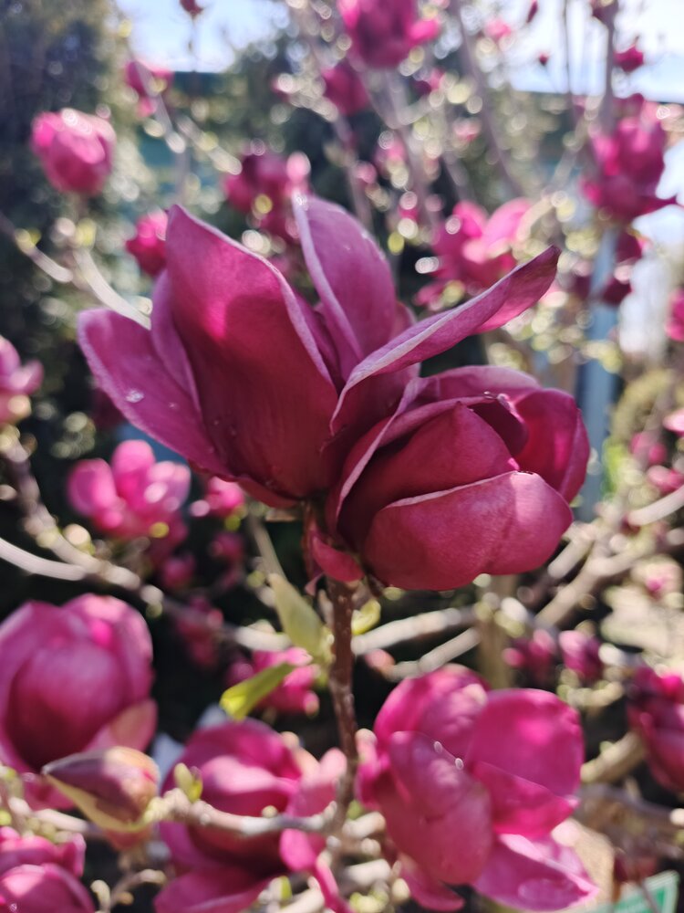 Photograph by Наталья Покрепина