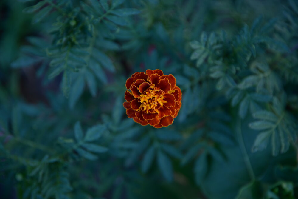 Photograph by Кирилл Ермоленко