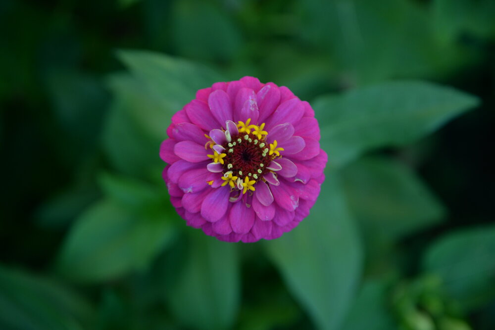 Photograph by Кирилл Ермоленко