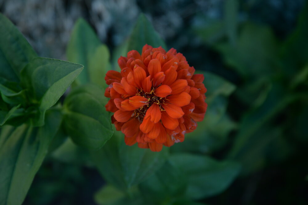 Photograph by Кирилл Ермоленко