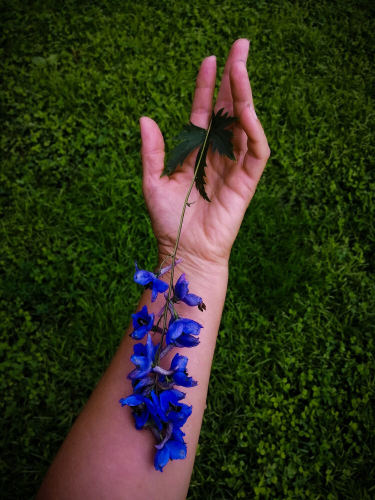 Photograph by Палкина Елена