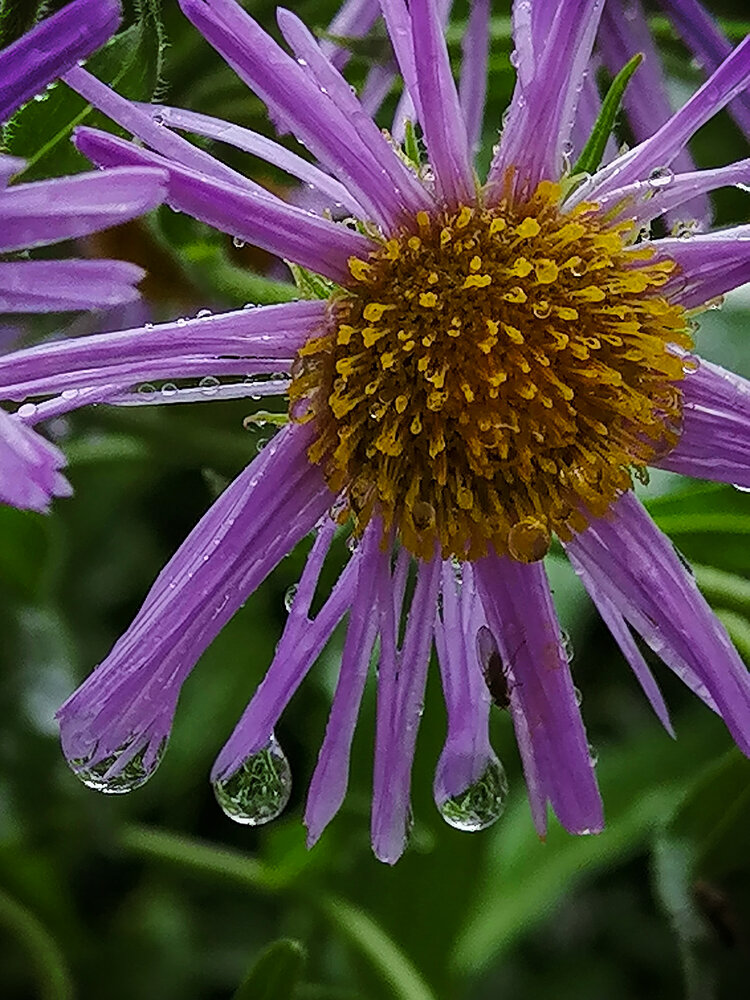 Photograph by Палкина Елена