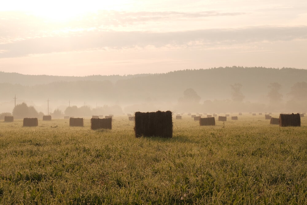 Photograph by Денис Ахметсафин