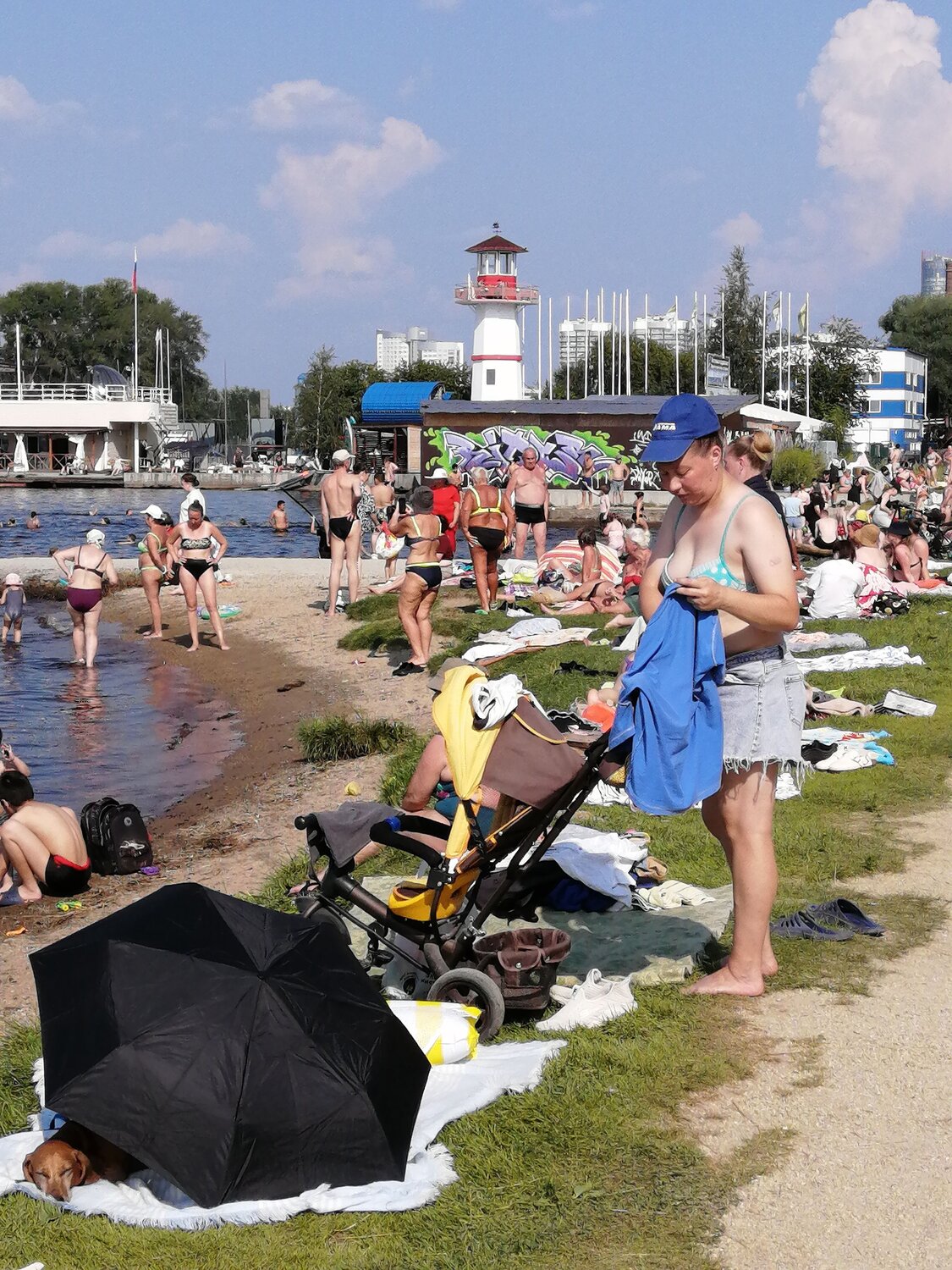 Photo #13848589