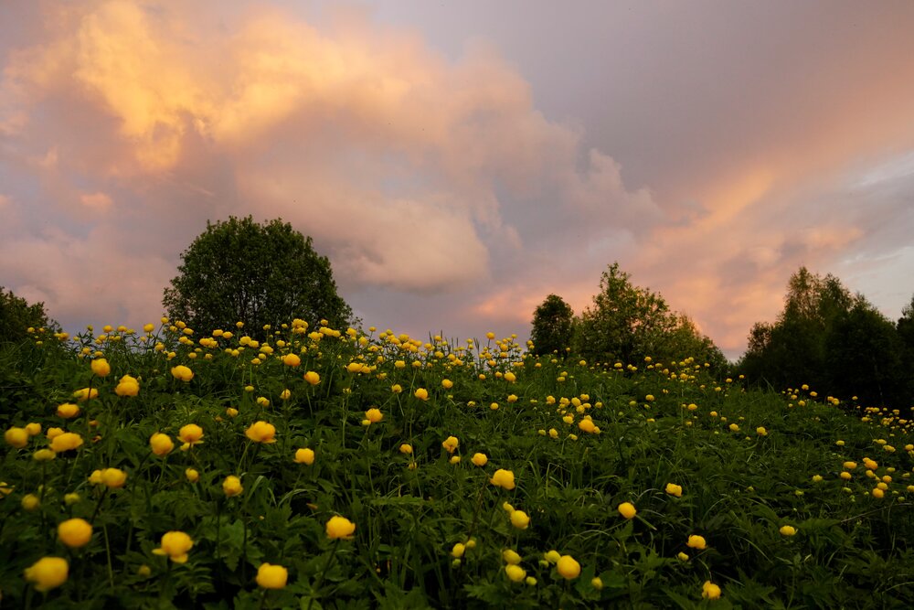 Photograph by Юлия Овчинникова