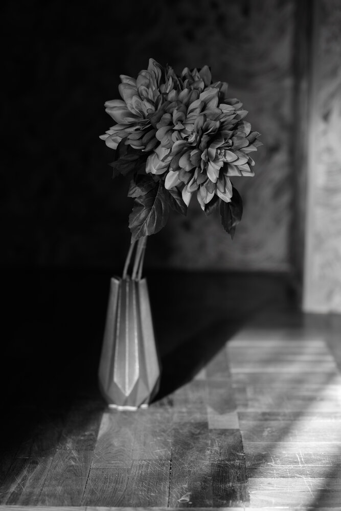 Photograph by Татьяна Журавлёва