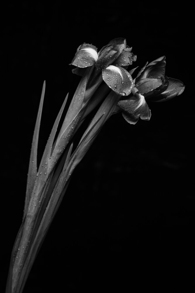 Photograph by Татьяна Журавлёва