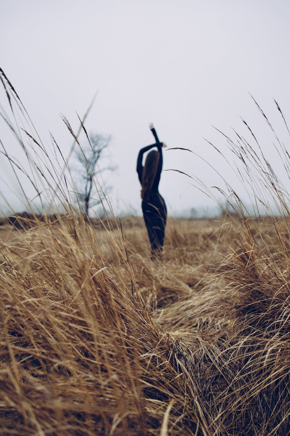 Photo #13848675