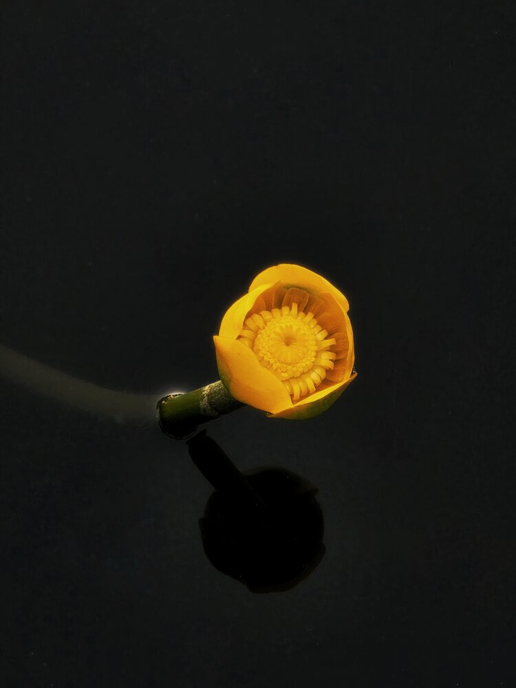Photograph by Надежда Ефименко