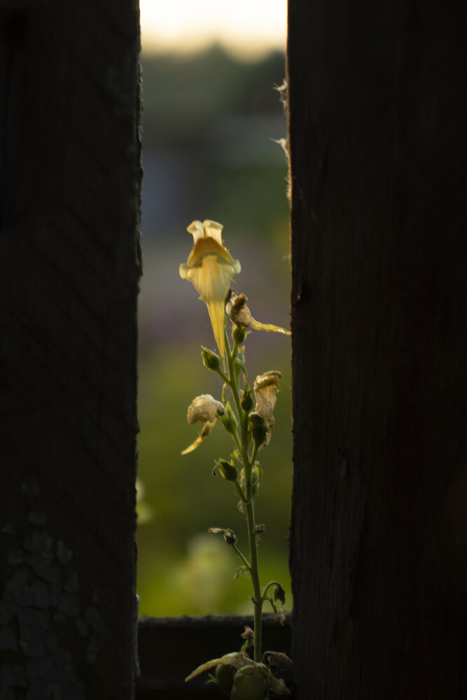 Photograph by Анна Малышева