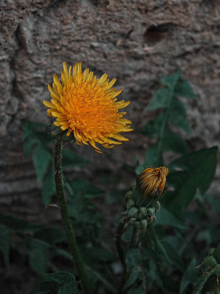 Photograph by Екатерина Кирьянова
