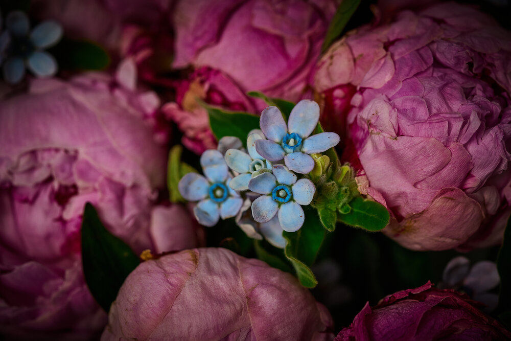 Photograph by Роман Соложенкин