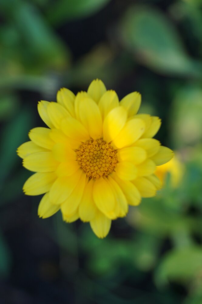 Photograph by Яна Суханова