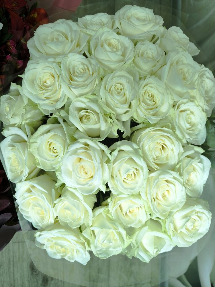 Фотография автора Анна Цепкова