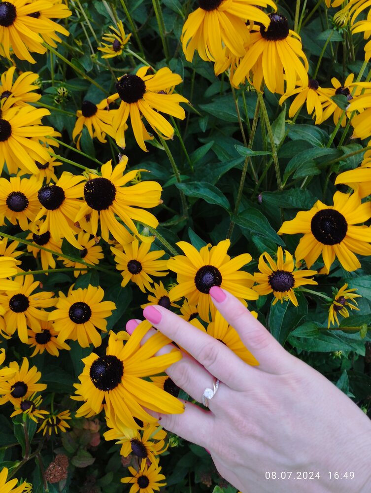 Фотография автора Ольга Селезнева