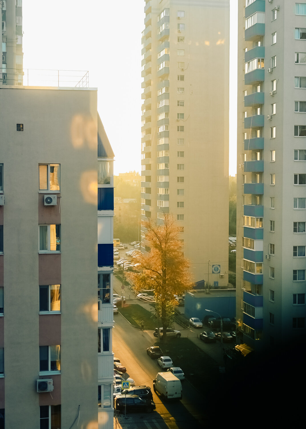 Photo #13848909