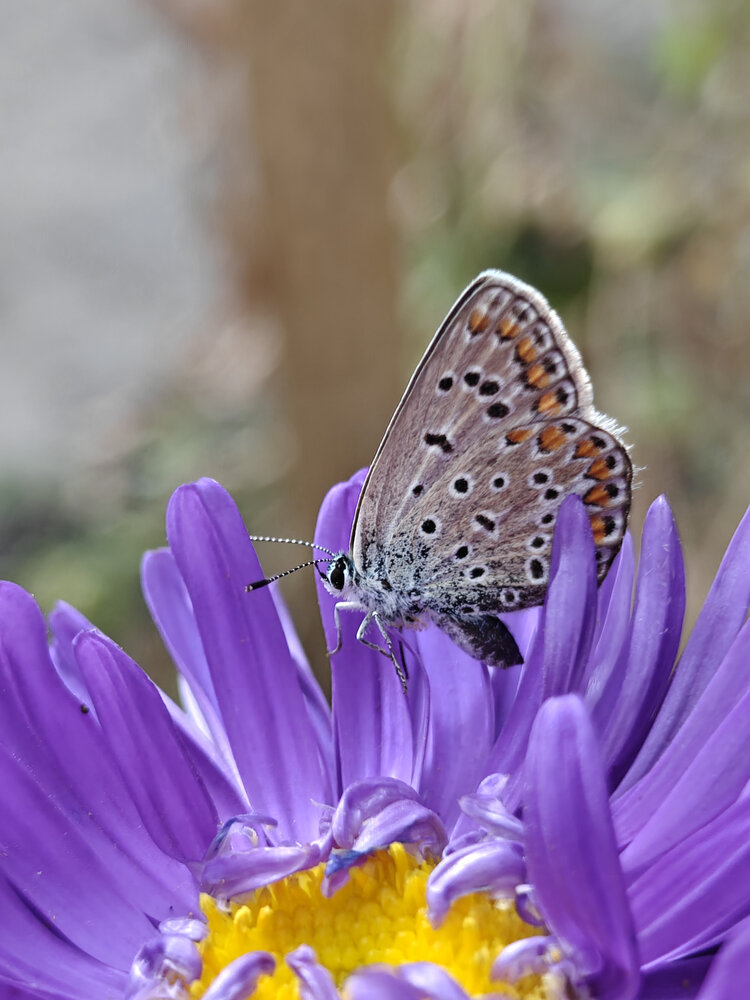 Photograph by Олеся Рассохина