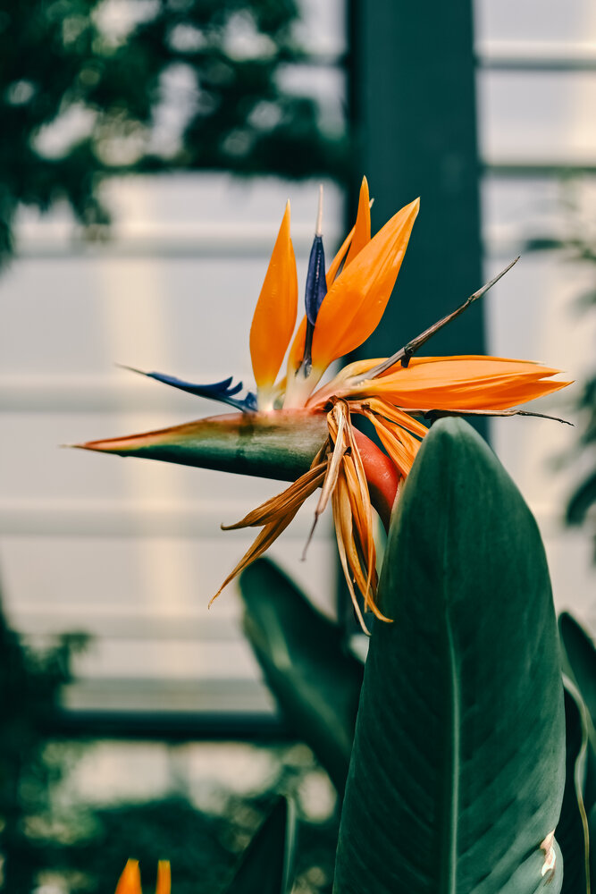 Photograph by Катерина Гущина