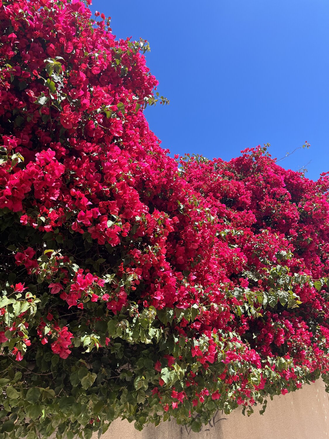 Radiant Spanish colors