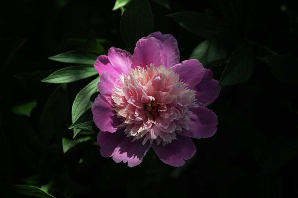 Photograph by Гайдук Евгений