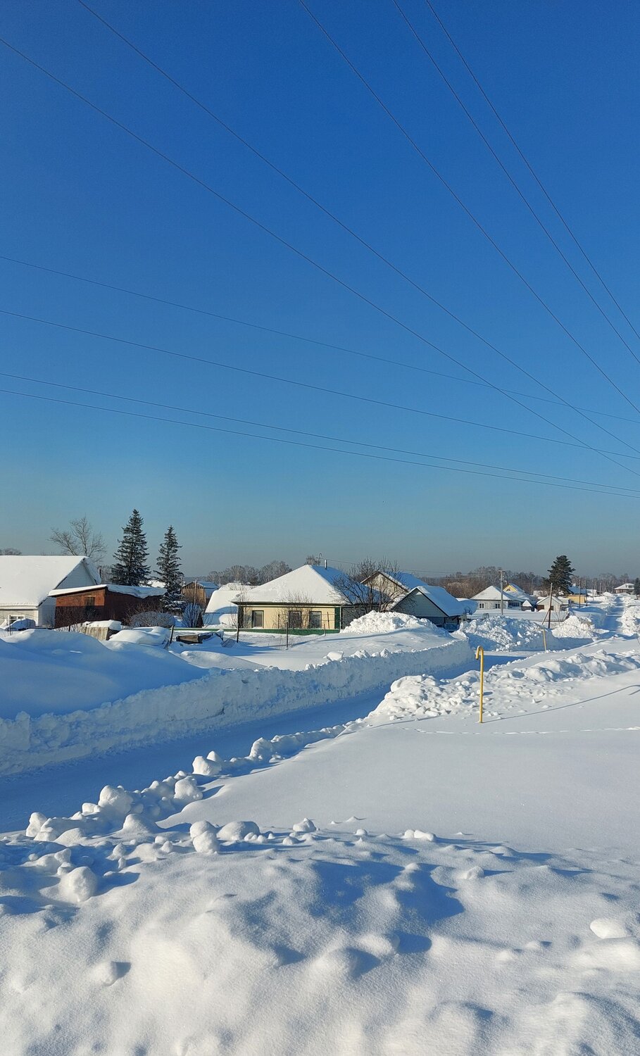 Photo #13849034
