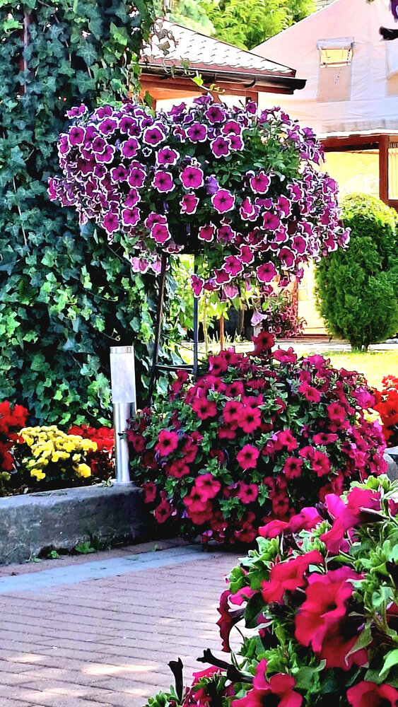 Layers of Summer Elegance