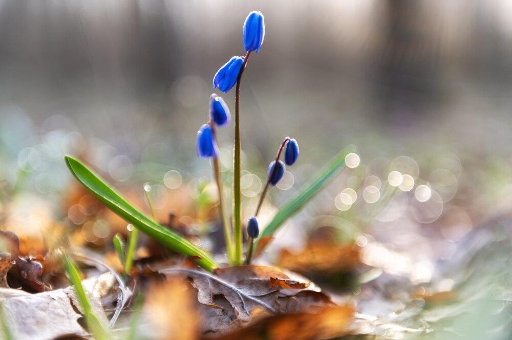 Photograph by Гайдук Евгений