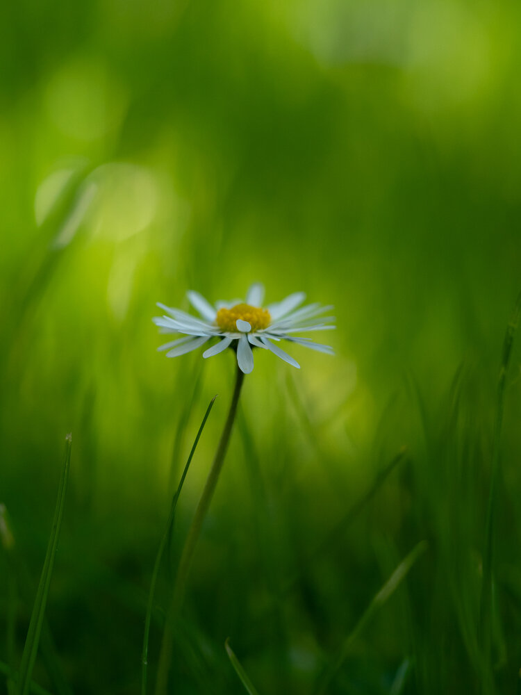 Photograph by Ирина Протченко