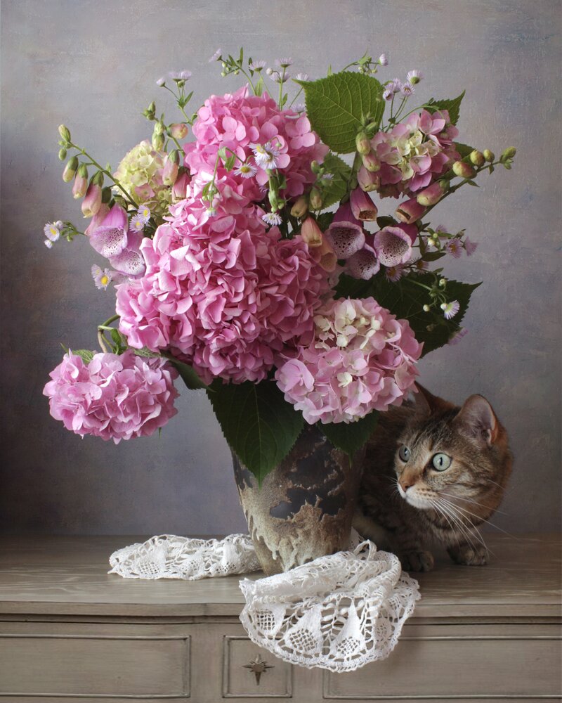 Photograph by Кира Иванова