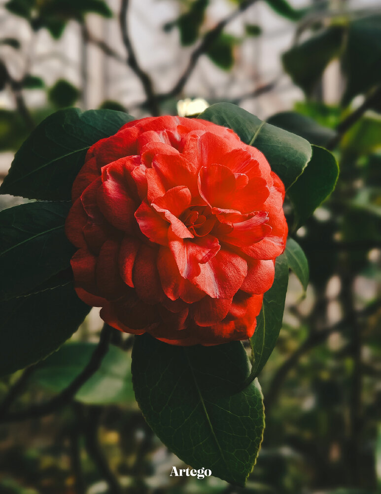 Photograph by Наталья Тополевская