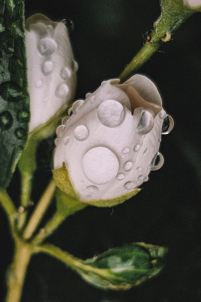 Photograph by Наталья Тополевская