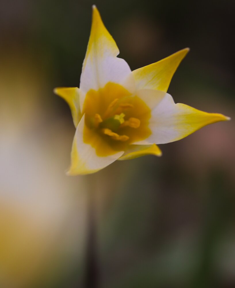 Photograph by Алла Никушкина