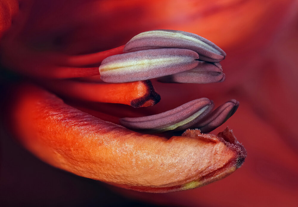 Photograph by Наталья Соколова