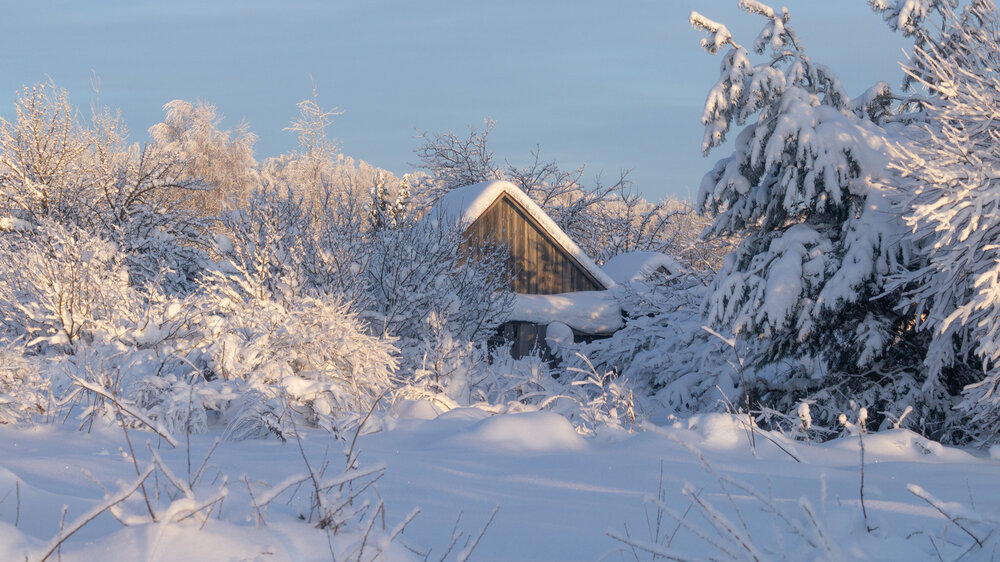 Photograph by Denis Romanov