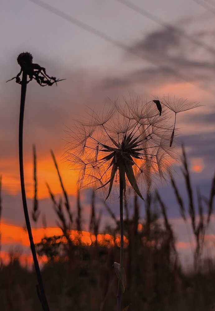 Photograph by Valeria Azamat